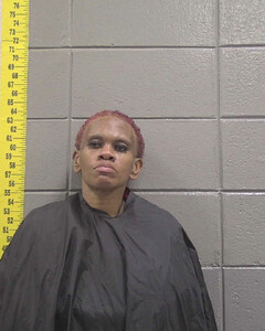 Mugshot of SPENCERCHARLESTON, TERA  