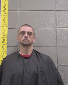 Mugshot of NAIL, DAVID  