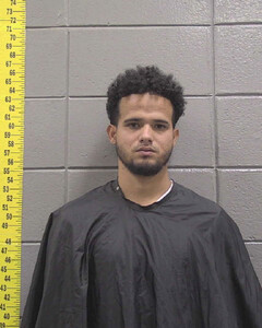 Mugshot of VALLEJO PAZ, DAYVID  