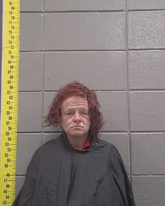 Mugshot of STEWART, ELIZABETH  