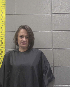 Mugshot of BRYANTSHIREY, TERESA  