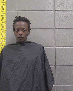 Mugshot of CARR, KIANA  